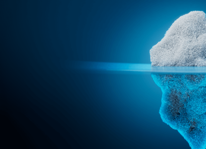 Open Source Management